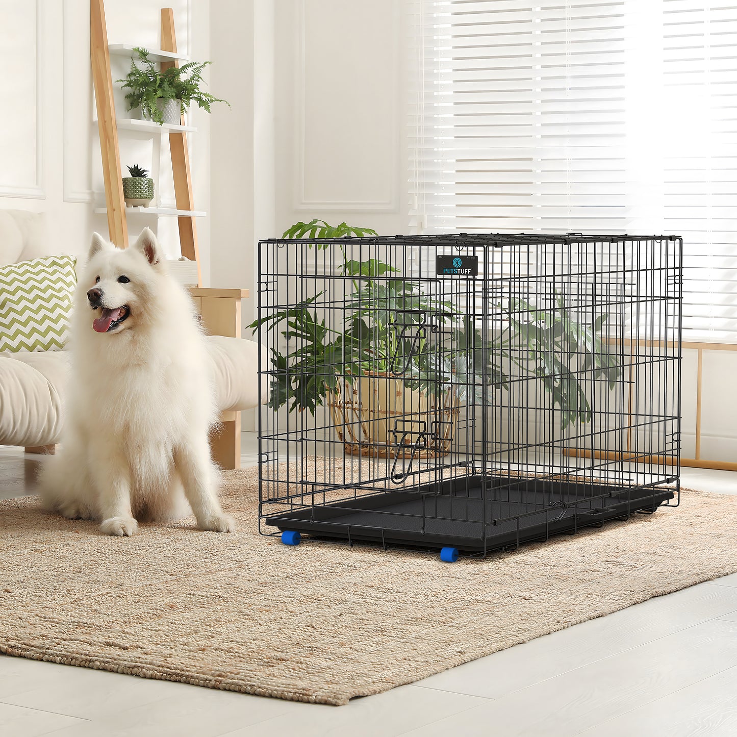 PETS TUFF Great CRATES 36” Large Dog Crate, 42” X-Large Dog Crate, 48” XX-Large Dog Crate - Durable Leaf-Proof Tray - Foldable, Carry Handle & Wheels for Easy Moving-One Door Dog Cage